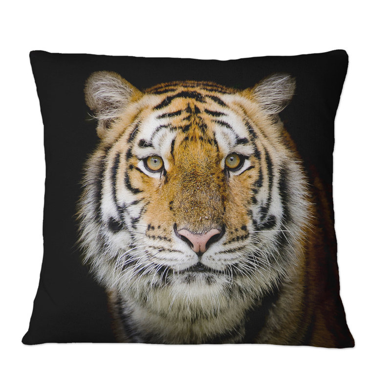 Throw Pillow, 18" x 18"