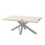 Metal Base Dining Table