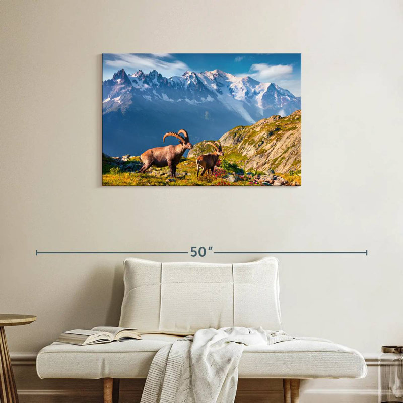 Bouquetin Alvord Mont Blanc, H 24 po x l 36 po