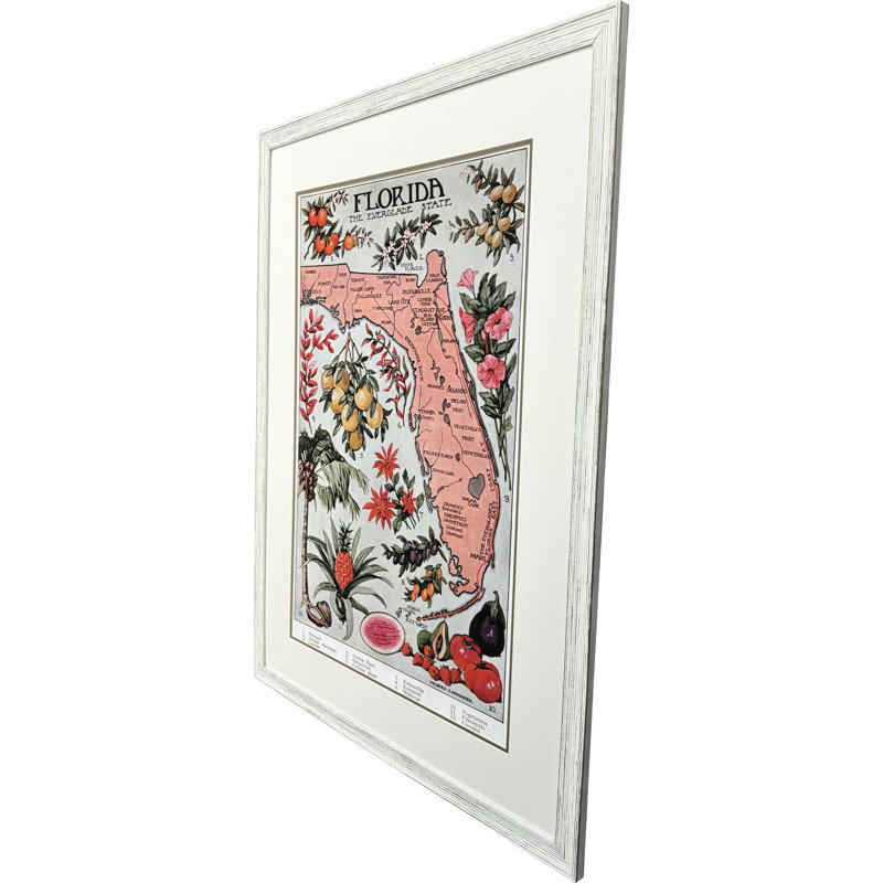 Vintage Florida Map Framed Art