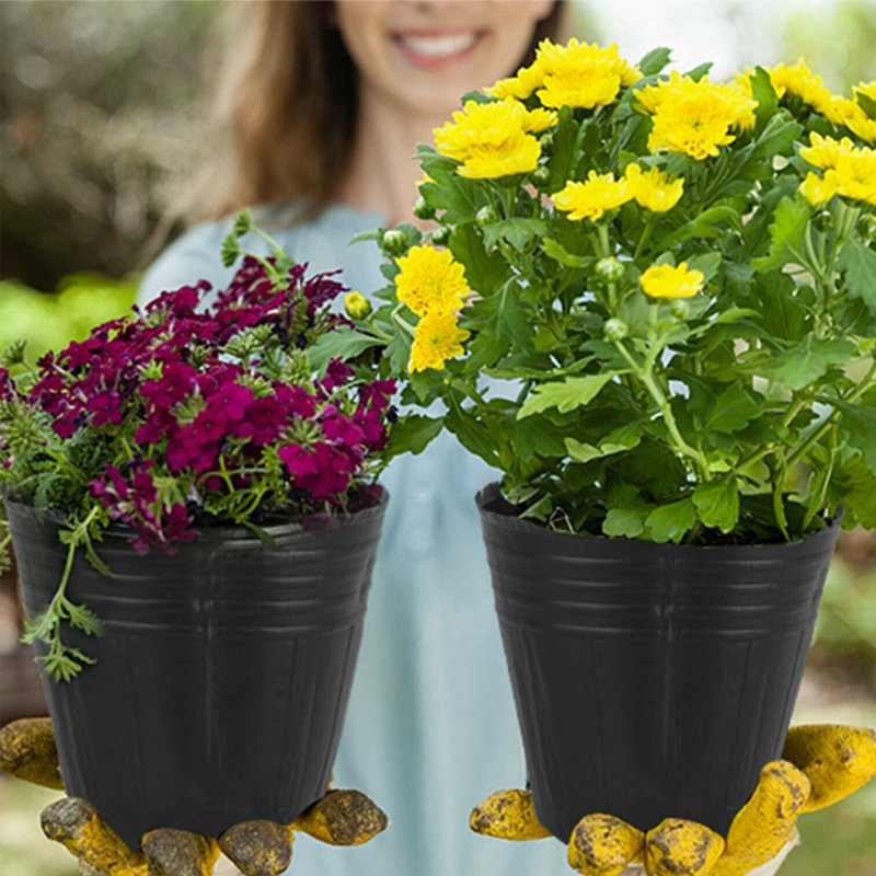 Demitrius Nursery Pot, 2" H x 2.56" W x 2.56" D