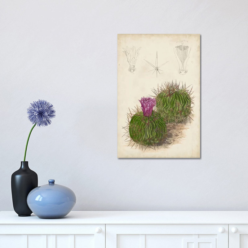 Antique Cactus II 1 Piece Wrapped Canvas Painting, 45.72cm H x 30.48cm W x1.905cm