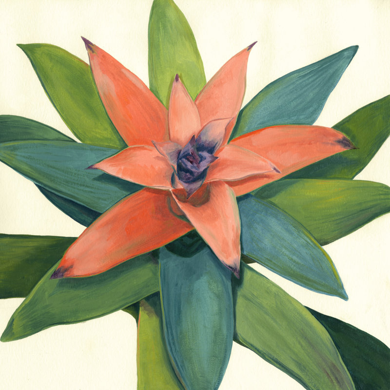 Tropical Bloom III by Megan Meagher - Wrapped Canvas Painting, 30cm H x 30cm W