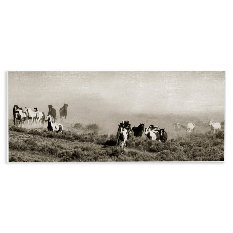 Plaque murale «Dust Up Horse Stampede» par Danita Delimont