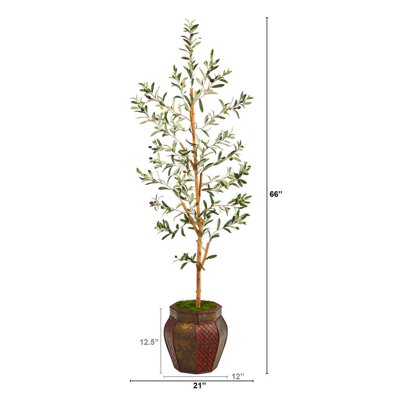 66 " H Faux Olive Tree