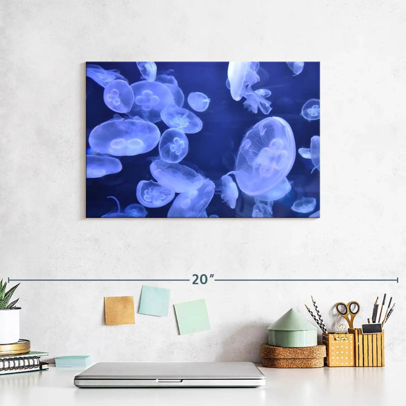 Sea Jellies, 8" H x 12" W
