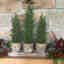Photos des clients 1 de 1