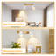 Shelvie Spotlight-939306548