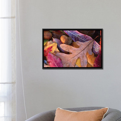 Chêne couleur cerise d'automne et feuilles de Sumac sur le sol avec des glands, parc d'État de Petit Jean, Arkansas, par Tim Fitzharris - impression sur toile tendue sur châssis