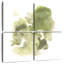 Foliose Gesture I-109087562