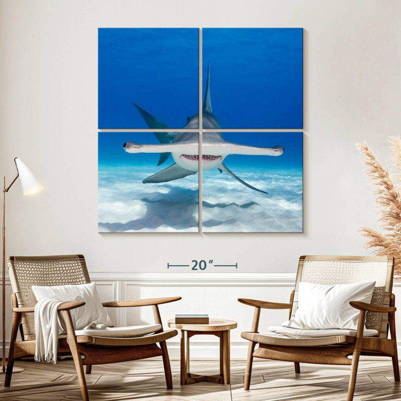 Brampt Hammerhead Shark Swimming, 57" H x 57" W