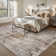 Distressed Modern Abstract Machine Washable Area Rug in Earth Tone Brown for Living Room or Bedroom