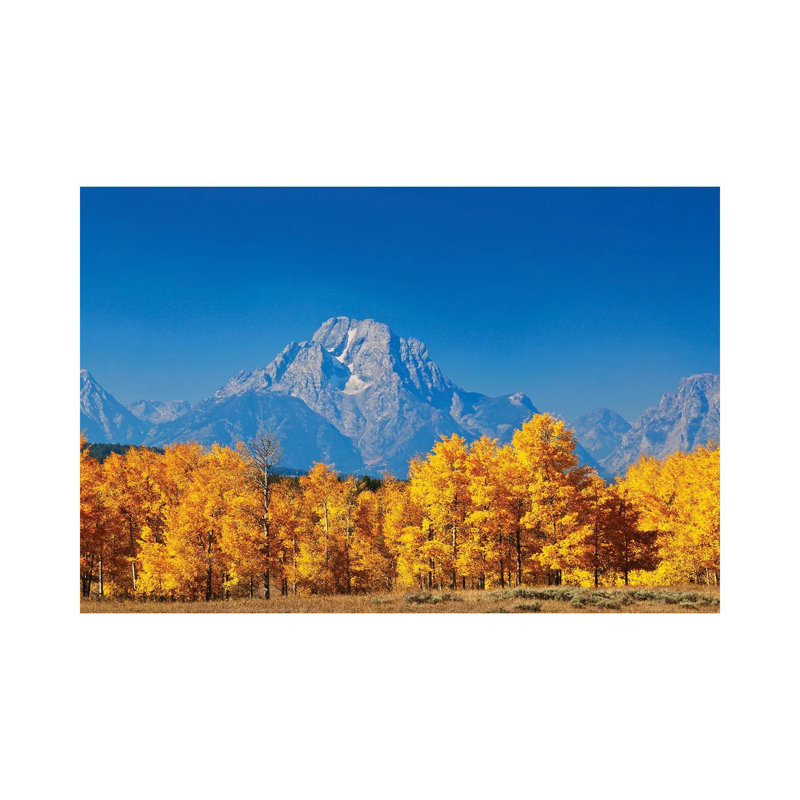 Autumn Trees Grand Tetons 1 Piece Wrapped Canvas Wall Art, 66.04 cm H x 45.72 cm W x 3.175 cm D