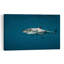 Impression d'art mural majestueux requin blanc contemporain, océan, nature-1001457712