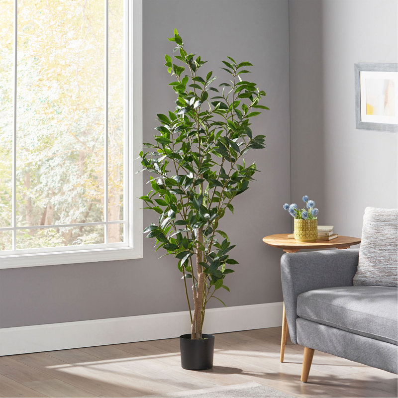 ARBRE DE LAURIER ARTIFIQUE 150CM 150CM, H 64 po x l 24 po x P 29 po