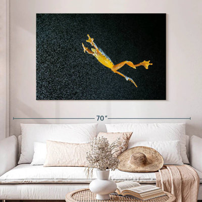 Leaping Leaf Frog