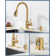 Single Handle Stainless Steel Pull-Down Kitchen Faucet with Air Gap Kit Combo