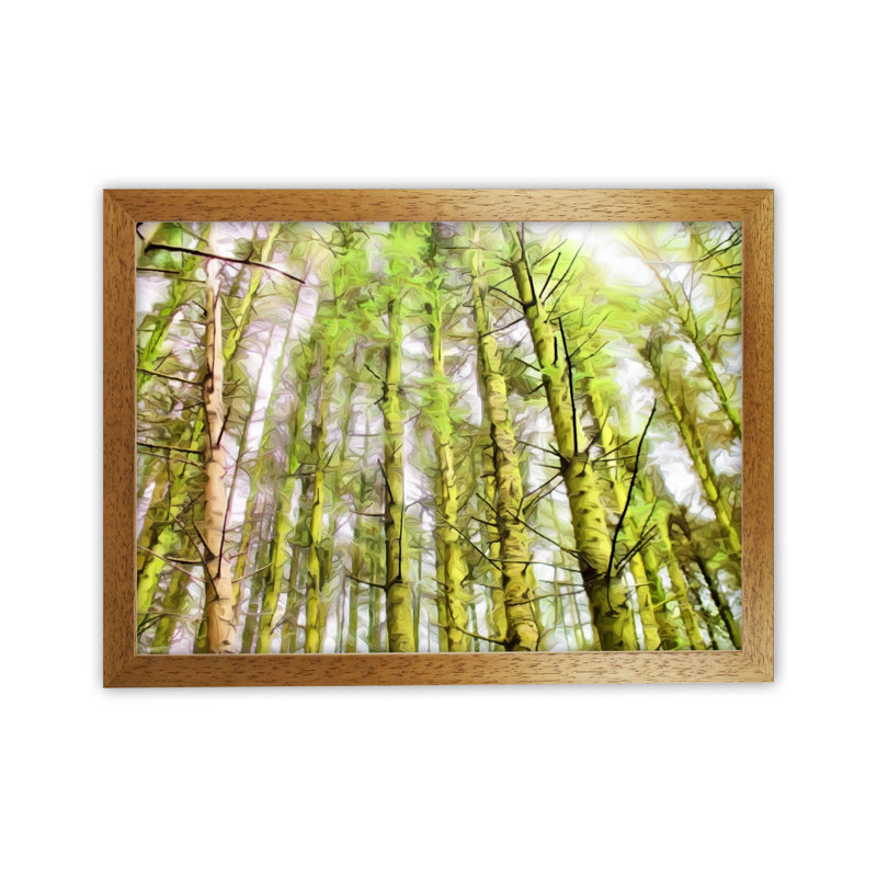 Woodland - Print on Canvas, Brown Framed, 34cm H x 46cm W x 3cm D