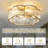 20'' Modern Caged Ceiling Fan with Glass Shades, Light Kit and Remote Control