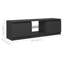Meuble télé vidaXL avec lumières DEL noires 120 x 30 x 36 cm-255835179-246040262