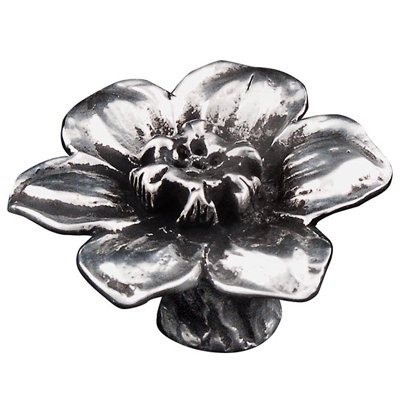 Carlotta Novelty Knob