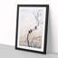 Three Birds on a Branch by Hishida Shunso - Picture Frame Painting Print-55610979-55610983