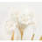 Porcelain Flowers