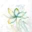 Abstrait fleur de lotus, art floral