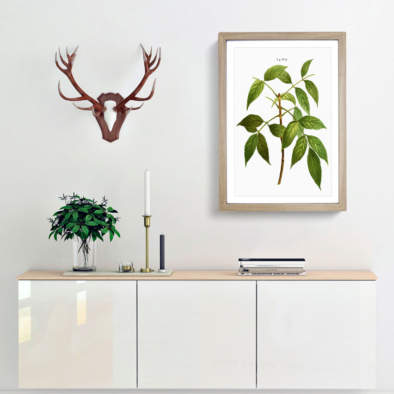 American Ash Tree Branch by Pierre-Joseph Redoute - Single Picture Frame Painting, 45cm H x 33cm W x 2cm D, Oak Framed