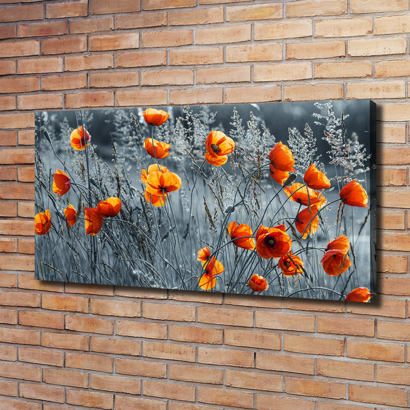 Field Poppy - No Frame Print on Canvas