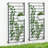 2 Piece Wall Mounted Ladder Metal Trellis Set