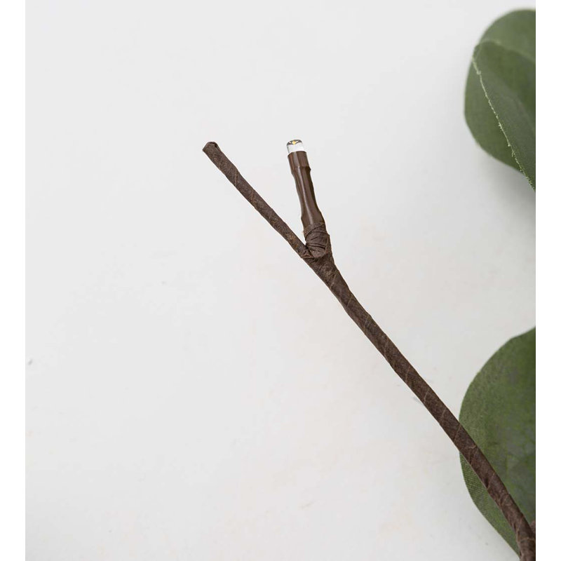 Lighted Eucalyptus Branch with 32 LED Lights