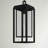 Republic Composite 1-Light Outdoor Hanging Double Frame Lantern