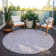  Aleg Area Rug with Non-Slip Backing