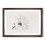 Flower - Picture Frame Painting Print-56853979-56853982