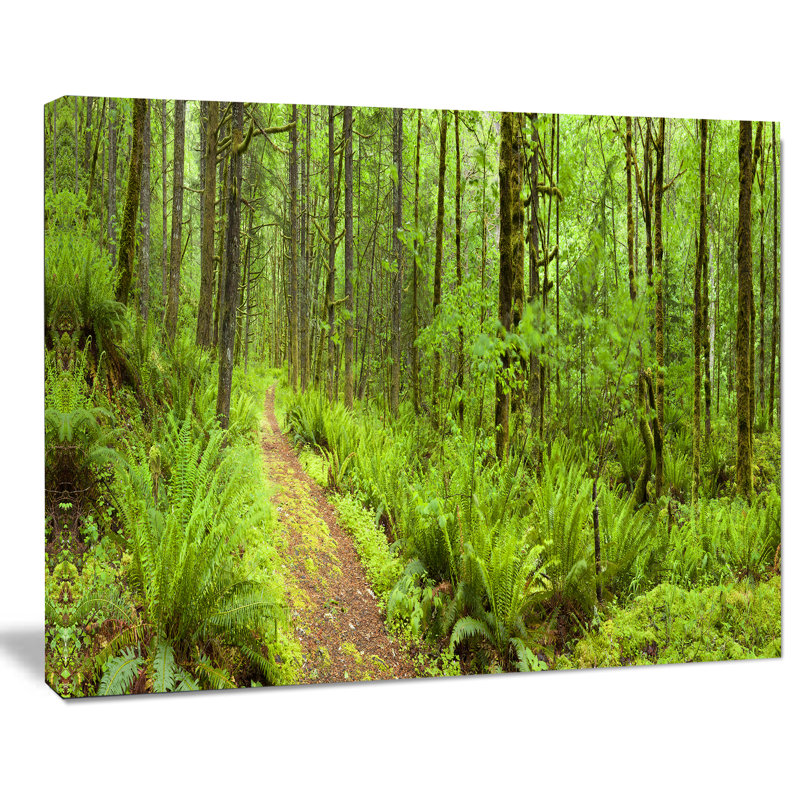 «Lush Forest Path Columbia River», reproduction de photo sur toile tendue, H 20 po x l 20 po x P 1 po, Toile tendue