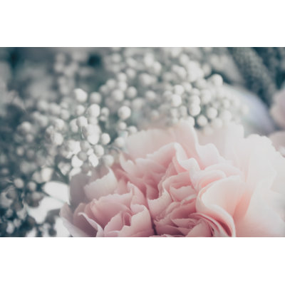 Holenice Close Up Of Delicate Flower - Wrapped Canvas Print