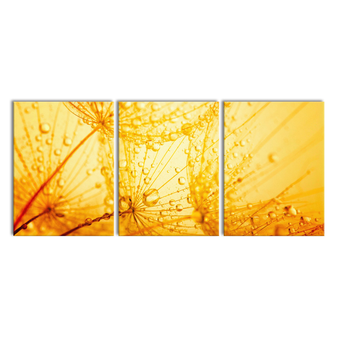 'Dandelion Seeds with Dew' Multi-Piece Image on Canvas
