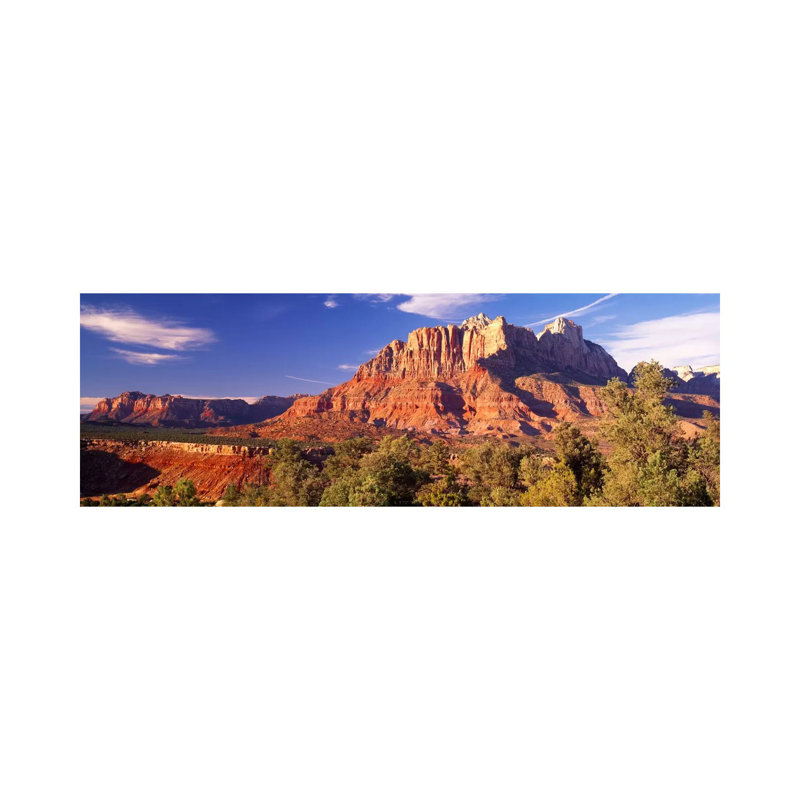 Canyon Surrounded with Forest, Escalante Canyon, Zion National Park, Washington County, Utah, USA 1 Piece Wrapped Canvas Panoramic Wall Art