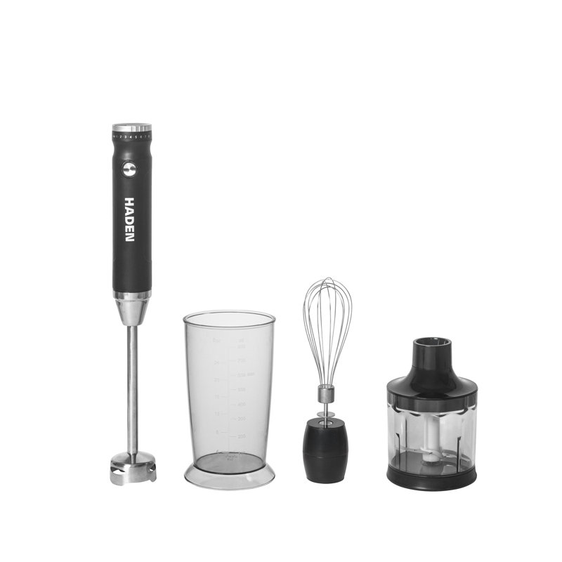 HADEN 800ml Portable Blender