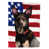 Australian Kelpie