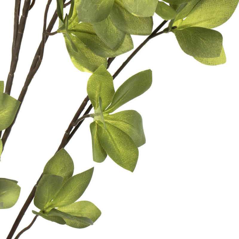 Castor Arrangement