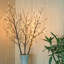 41'' LED Lighted Trees & Branches-65584151