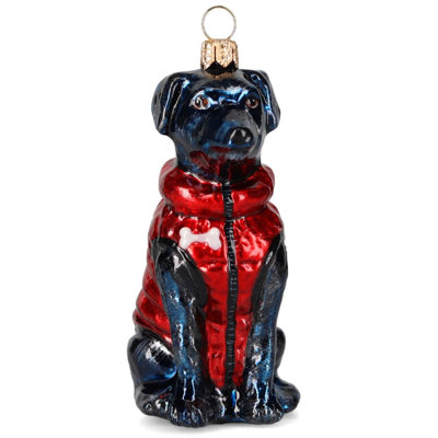 Black Lab in Puffer Coat