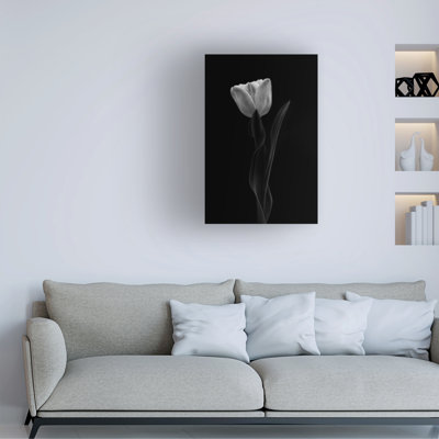 Modern & Contemporary