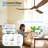 3-Blade Indoor Smart Ceiling Fan with Light and Remote/APP Control,3 LED Colors,6 Speed Quite DC Motor,Timer-1529255-17103311