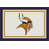 Minnesota Vikings