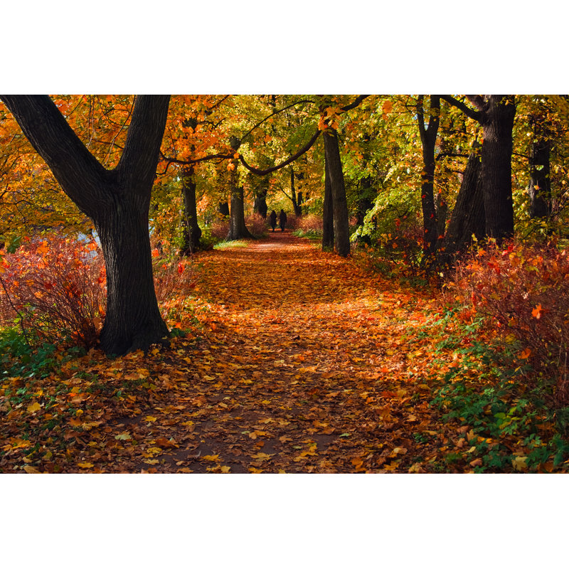 Walking In Park - Wrapped Canvas Print, 61cm H x 91cm W