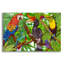 «Rainforest Birds» par Tim Jeffs, art mural acrylique-1961782244