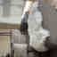 Photos des clients 1 de 1